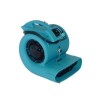 Carpet Blower
